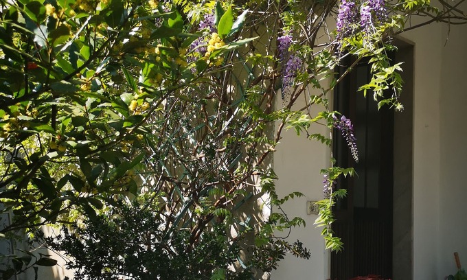 Precotto Apartment | SPACIOUS AND QUIET APARTMENT IN A VILLA