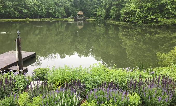 Marshall Apartment | Spacious and Secluded Studio Apartment on Pond Near Village of Orlean