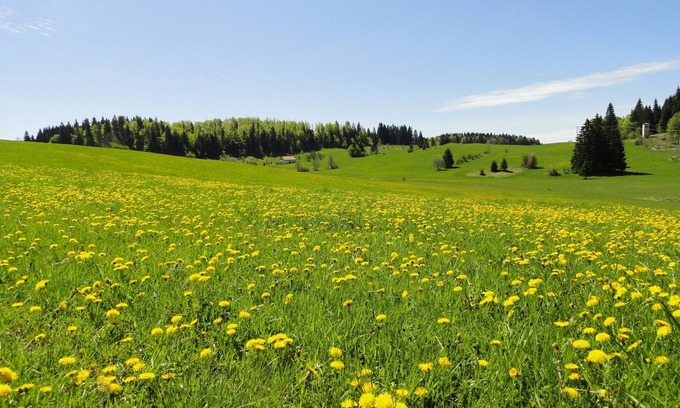 Paroisse des Monts de Bienne Apartment | SPACIOUS APARTMENT -COMFORT-COMFORT IN THE HEART OF NATURE