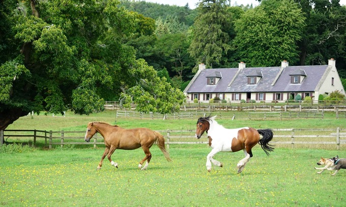 Ashford Other | Spacious country living suitable for small groups or family holidays.