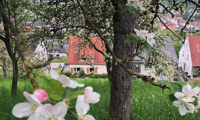 Dalhausen House | Spacious family accommodation for group 10p, beautiful view, pet friendly!