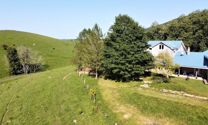 Simmonsville House | Spacious Farm with Mountain Views 30min to Bburg