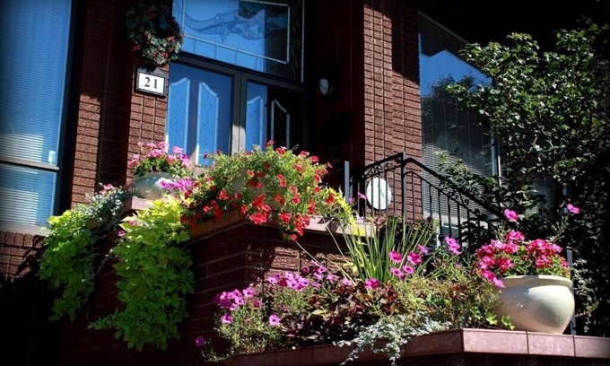 Humber Summit House | Spacious Lotus Room in A Stunning Chalet Style Home - YYZ