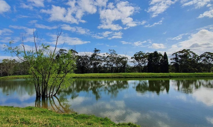 Central Mangrove House | Spacious Luxury Farm Retreat in Coastal Hinterland
