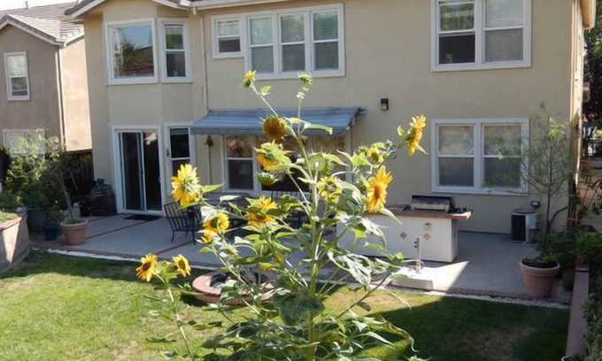 Silver Creek House | Spacious Modern Home/Big Backyard/Close to Downtown, Levis, SAP, Avaya Stadiums