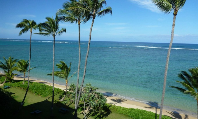 Punaluu Condo | Spacious one bedroom condo on a white sandy beach!