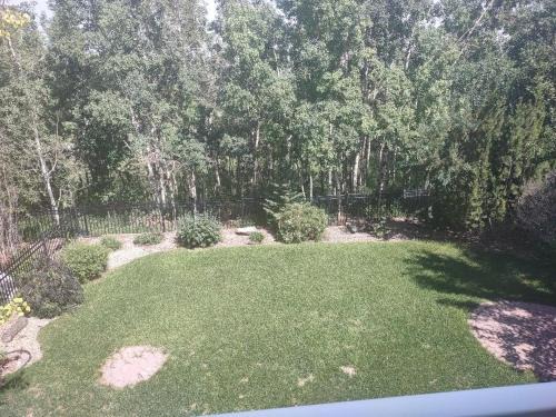 Calgary Apartment | Spacious One Bedroom Walkout Basement Suite