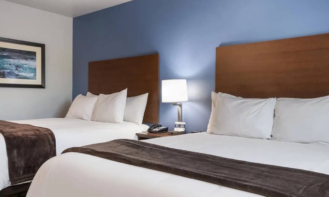 Gleneagle Hotel | Spacious Room with Full Kitchen Ideal for Pet Owners and Explorers