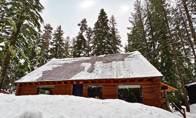Government Camp House | Spacious Steiner Cabin on quiet street and stream.