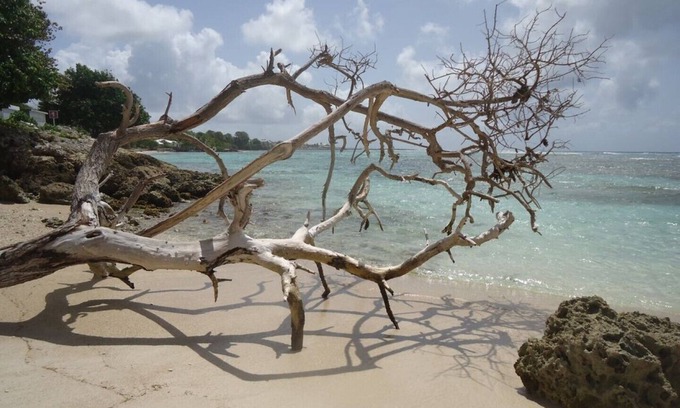 Saint-Francois Apartment | spacious T2 with direct access to the beach