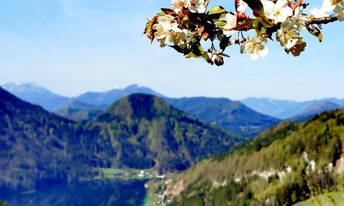 Lunz am See Apartment | Spacious vacation apartment (110sqm) for up to 5 people