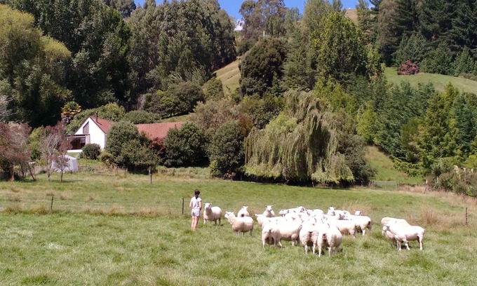 Hope House | Spectacular Hope Farm Stay