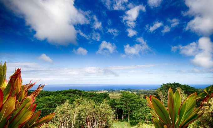 Honomu House | Spectacular Views and Natural Beauty