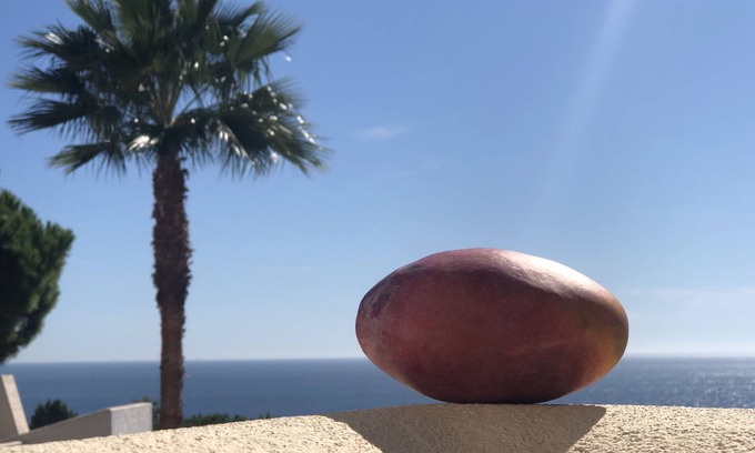 Bahia de Casares Apartment | Splendid apartment. air-conditioned with terrace sea view, swimming pool and secure parking.