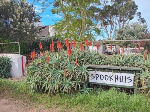 Napier Apartment | Spookhuis