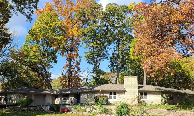 Wooded Estates House | Sprawling mid-century, unique, SPACIOUS & dog friendly home!