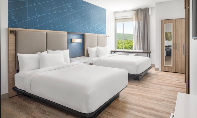 Hollins Hotel | Springhill Suites By Marriott Roanoke North