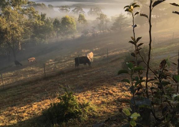 Rydal Bed & Breakfast | Springmead B&B