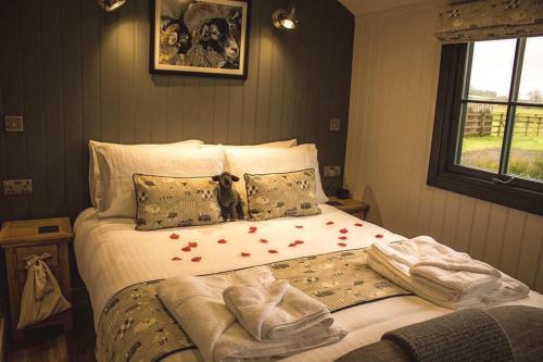 Storwood House | Springwood Shepherd Huts Glamping York