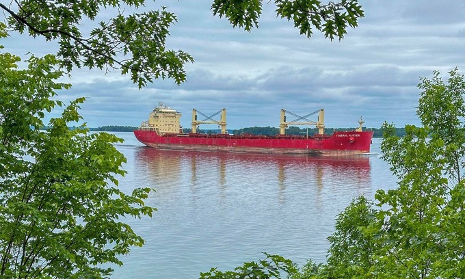 Clayton Apartment | St Lawrence River Cottage w/Panoramic Views!