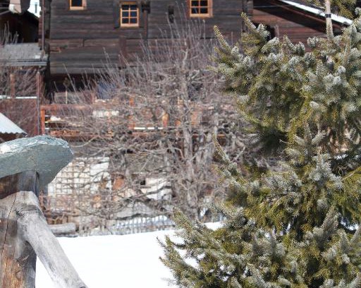 Niederwald Ski Chalet | Stadel Ritz