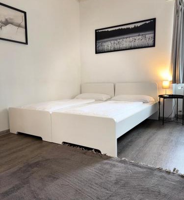 Zell am Main Apartment | Stadtnahes Apartment Würzburg