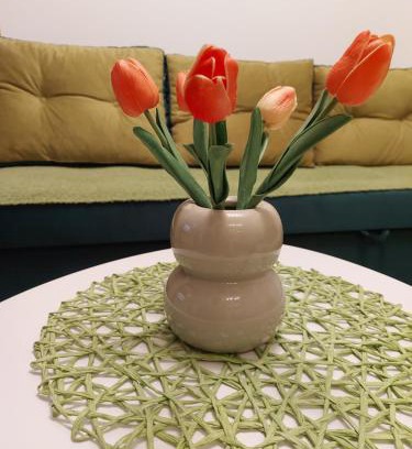 Pozarevac Apartment | Stancicmilena