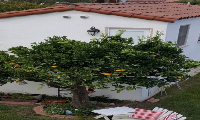 Bixby Knolls Apartment | Stand Alone Private Studio in trendy Bixby Knolls