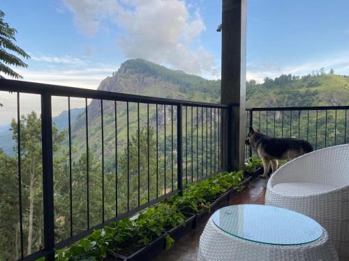 Ambagollapathana House | Star Gaze Lodge