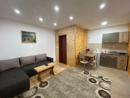 Mokra Gora Apartment | Stara kuća