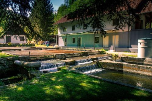 Pohorje Apartment | Stara ribogojnica & Pohorska postrv