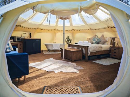 Aldborough Other | Stargazers