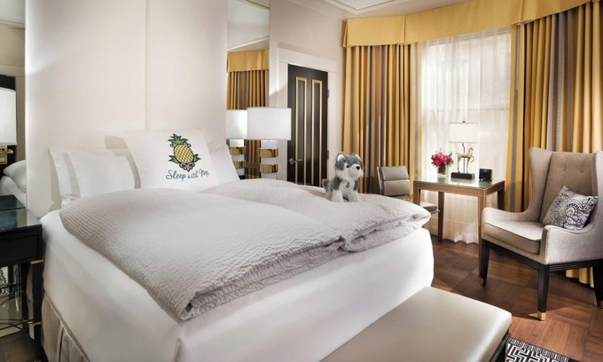 Lower Nob Hill Hotel | Starlet Queen Refuge, Staypineapple, Comfort Redefined, Union Square’s Spotlight