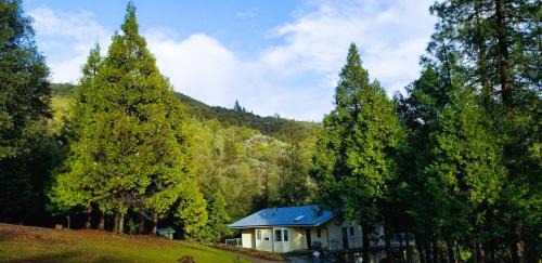 Mariposa House | Starlink Mariposa Yosemite mountain retreat