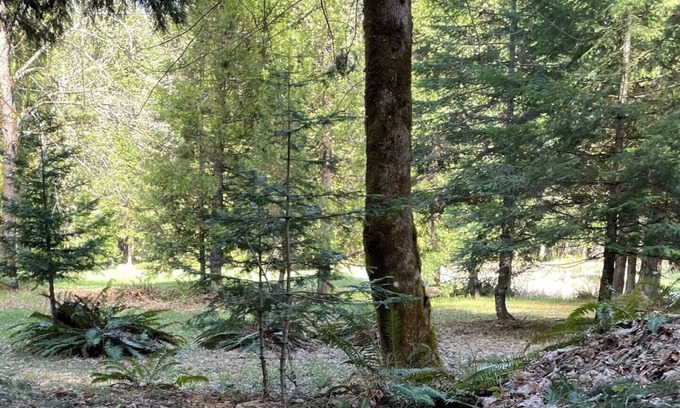 Douglas County RV Rental | Starry Skies Campout