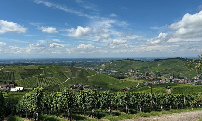Durbach Apartment | Staufenbergblick Durbach