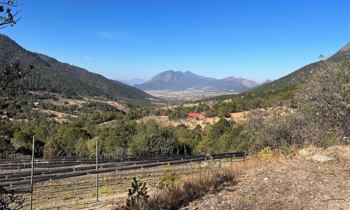 Arteaga House | Stay in an RV inside a Vineyard. Unique experience
