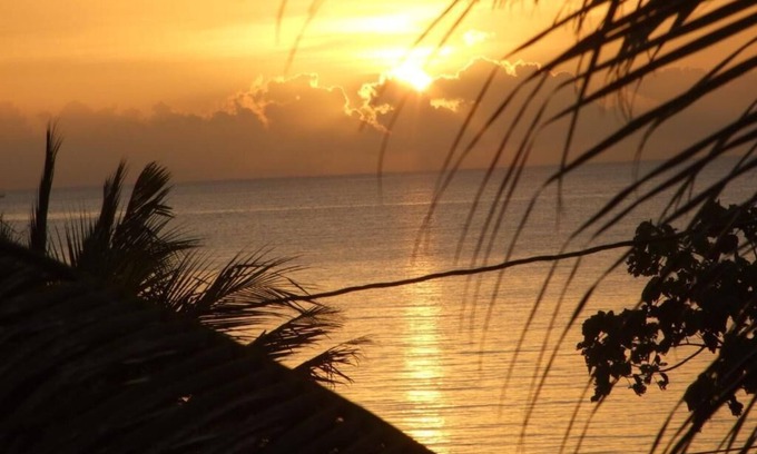 Forest Home House | Stay, relax and explore in Sunset our tropical oasis by the Caribbean Sea.