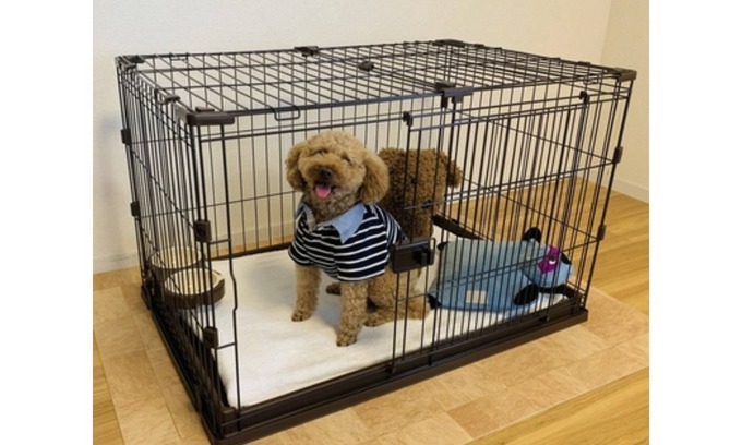 Sumiyoshi Hotel | Staying with your dog is OK With kitchen and wash/Fukuoka Fukuoka