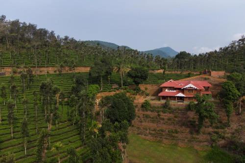 Mananthavady Villa | StayVista at Regal Retreat Middle of Tea Estate