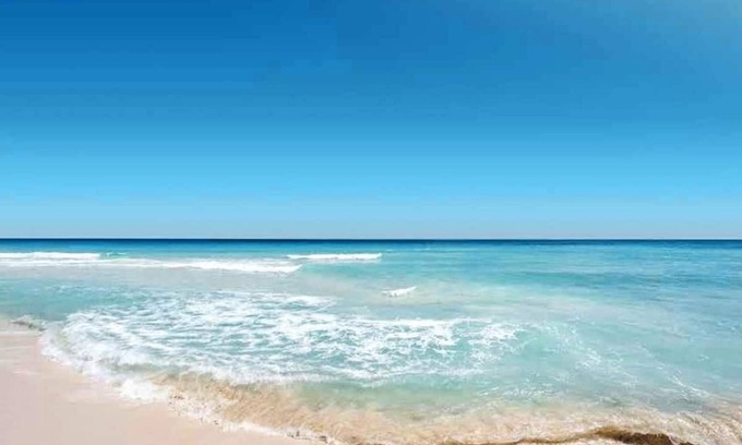 Sarasota Apartment | STEPS TO LIDO BEACH