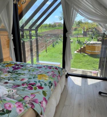 Dolni Bojanovice House | STODOLA U Františka