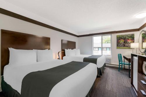 Revelstoke Hotel | Stoke Hotel SureStay Collection by Best Western