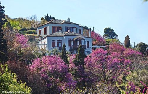 Skopelos Apartment | Stolios