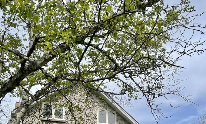 Tiny Cottage | Stone Cottage 5 minute walk to beach