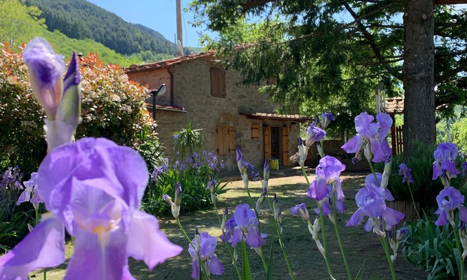 Loro Ciuffenna House | STONE HOUSE IN THE HEART OF TUSCANY WITH LARGE GARDEN AND SWIMMING POOL