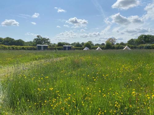 Ewhurst Green Other | Stone Pit Meadows