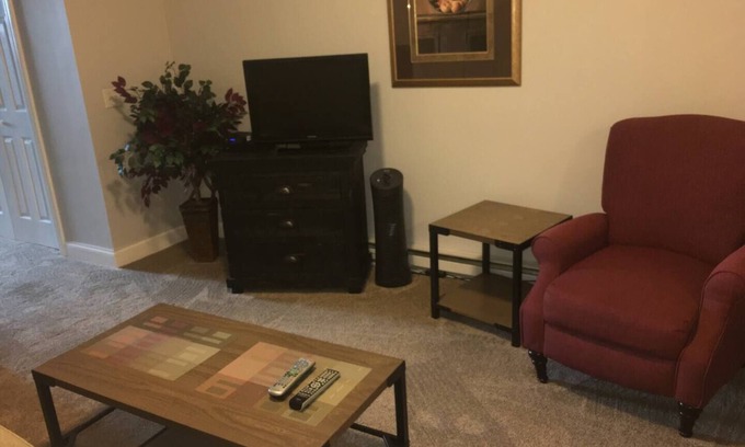 Ludington Apartment | STRAM *203