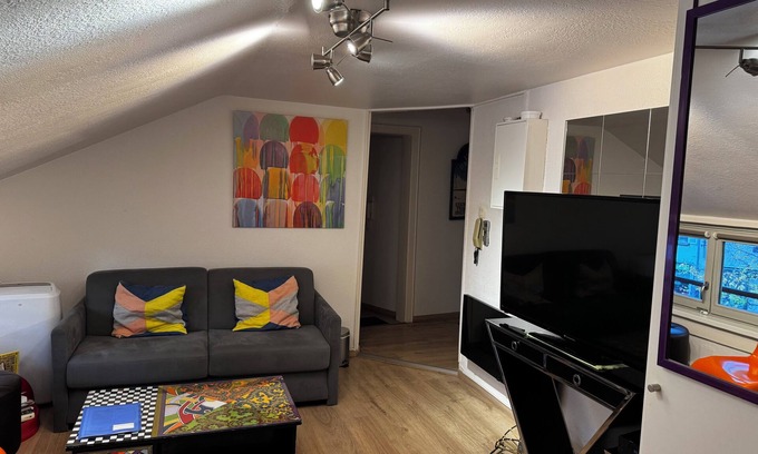 Petite-France Apartment | STRASBOURG Centre Beau F3 Petite France Centre historique 3* with parking included