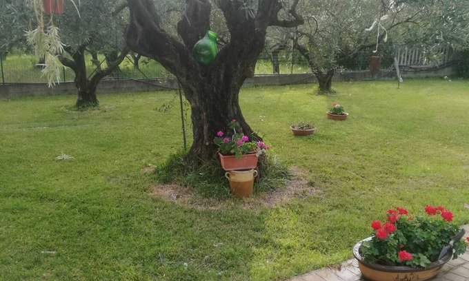 Lamezia Terme House | STRUTTURA RICETTIVA CON PISCINA PRIVATA